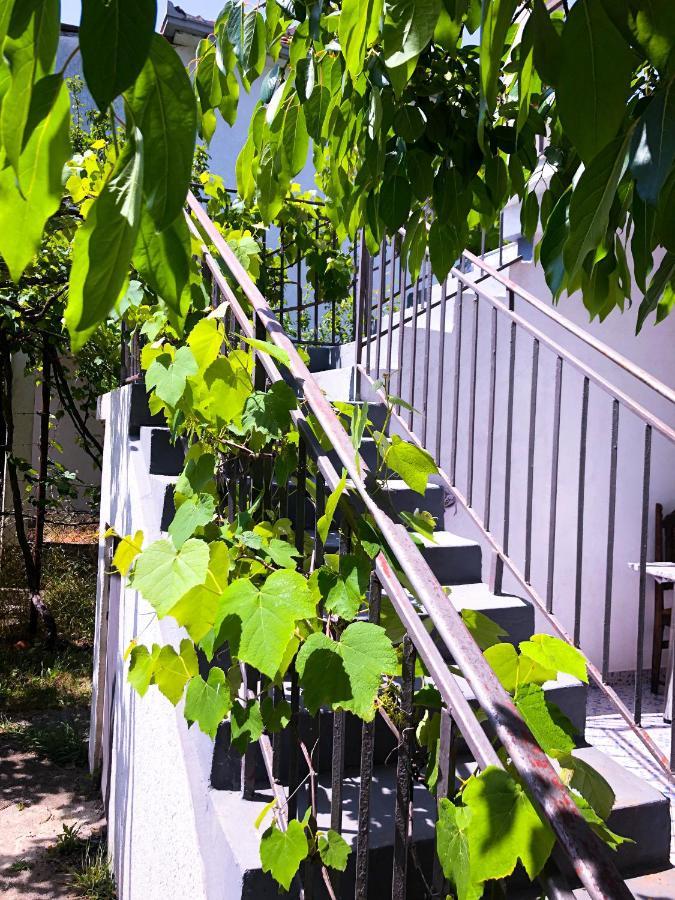 Renata Holiday Apartments Ulcinj Exterior photo