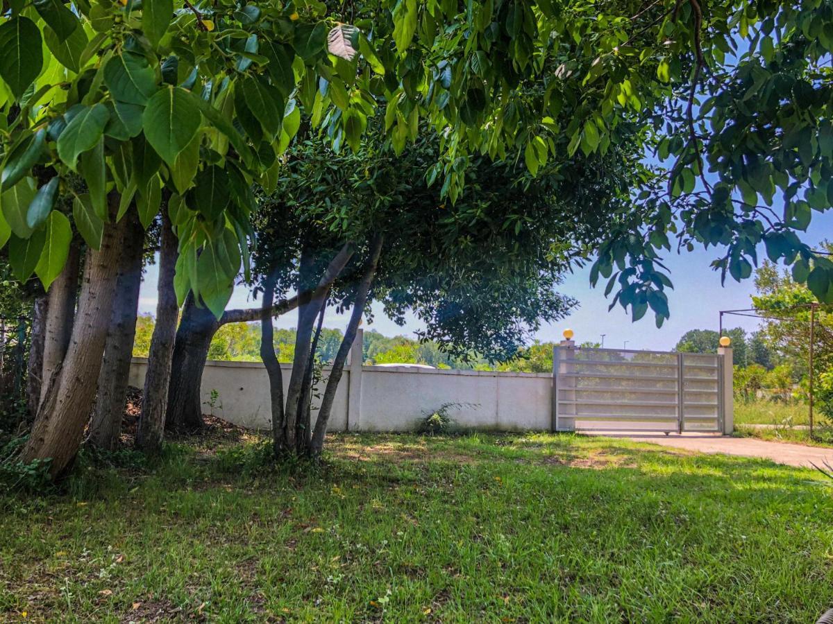 Renata Holiday Apartments Ulcinj Exterior photo